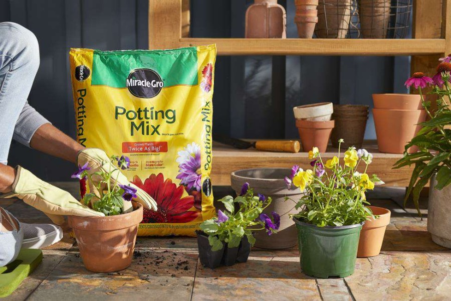 Soil & Soil Amendments * | Miracle-Gro Soil & Soil Amendments Potting Mix Bundle 16-Quart Potting Soil Mix