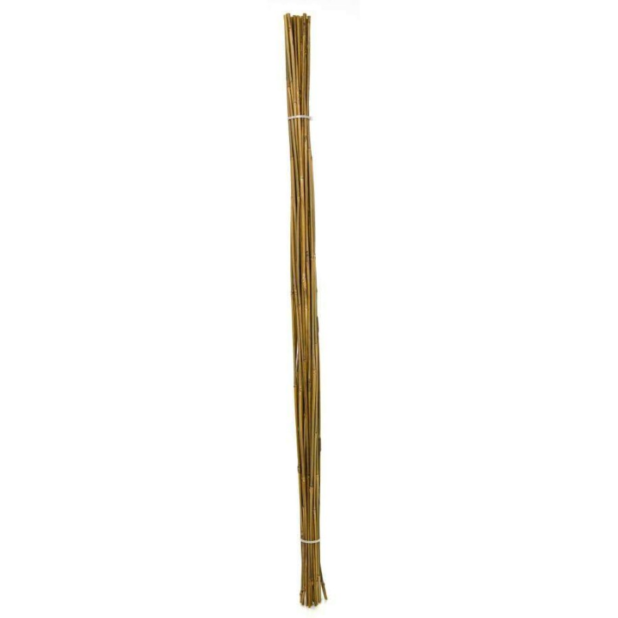 Landscape Fabric & Stakes * | Bond Landscape Fabric & Stakes 25-Pack 48-In Bamboo Landscape Stake