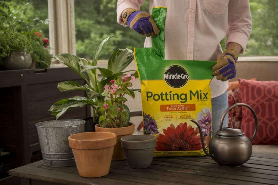 Soil & Soil Amendments * | Miracle-Gro Soil & Soil Amendments Potting Mix Bundle 8-Quart Potting Soil Mix