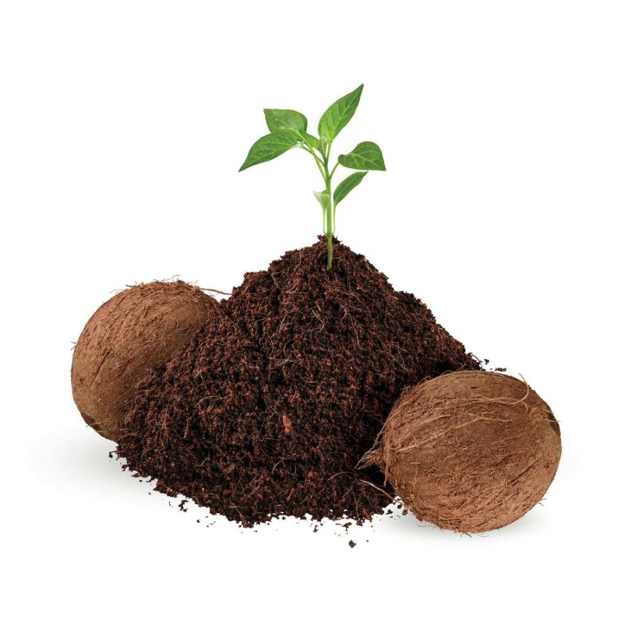 Soil & Soil Amendments * | Sta-Green Soil & Soil Amendments Organic Coconut Coir Moisture Control