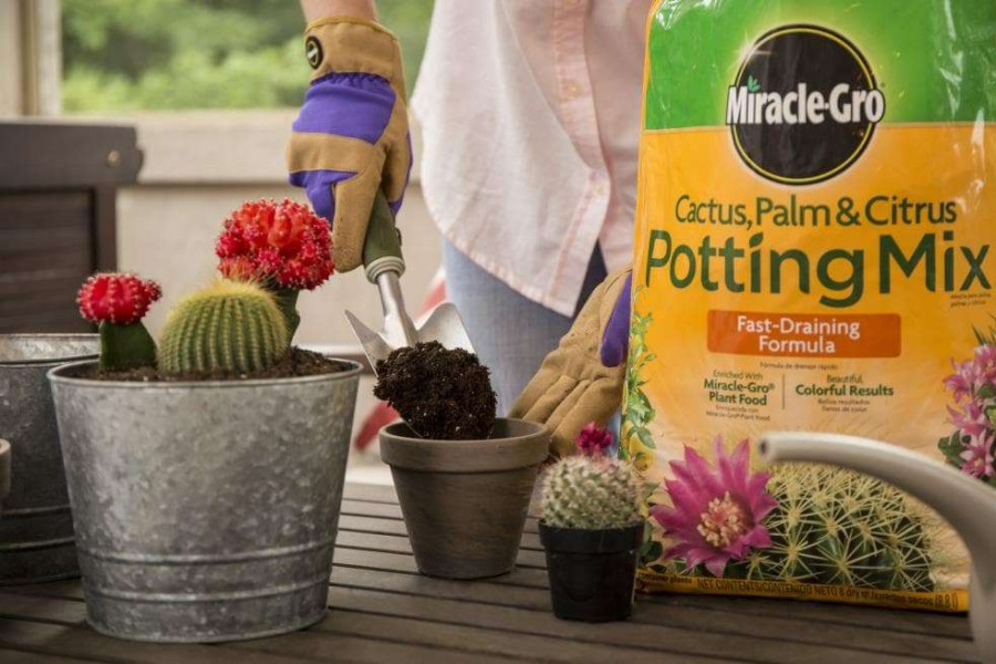 Soil & Soil Amendments * | Miracle-Gro Soil & Soil Amendments 8-Quart Potting Soil Mix